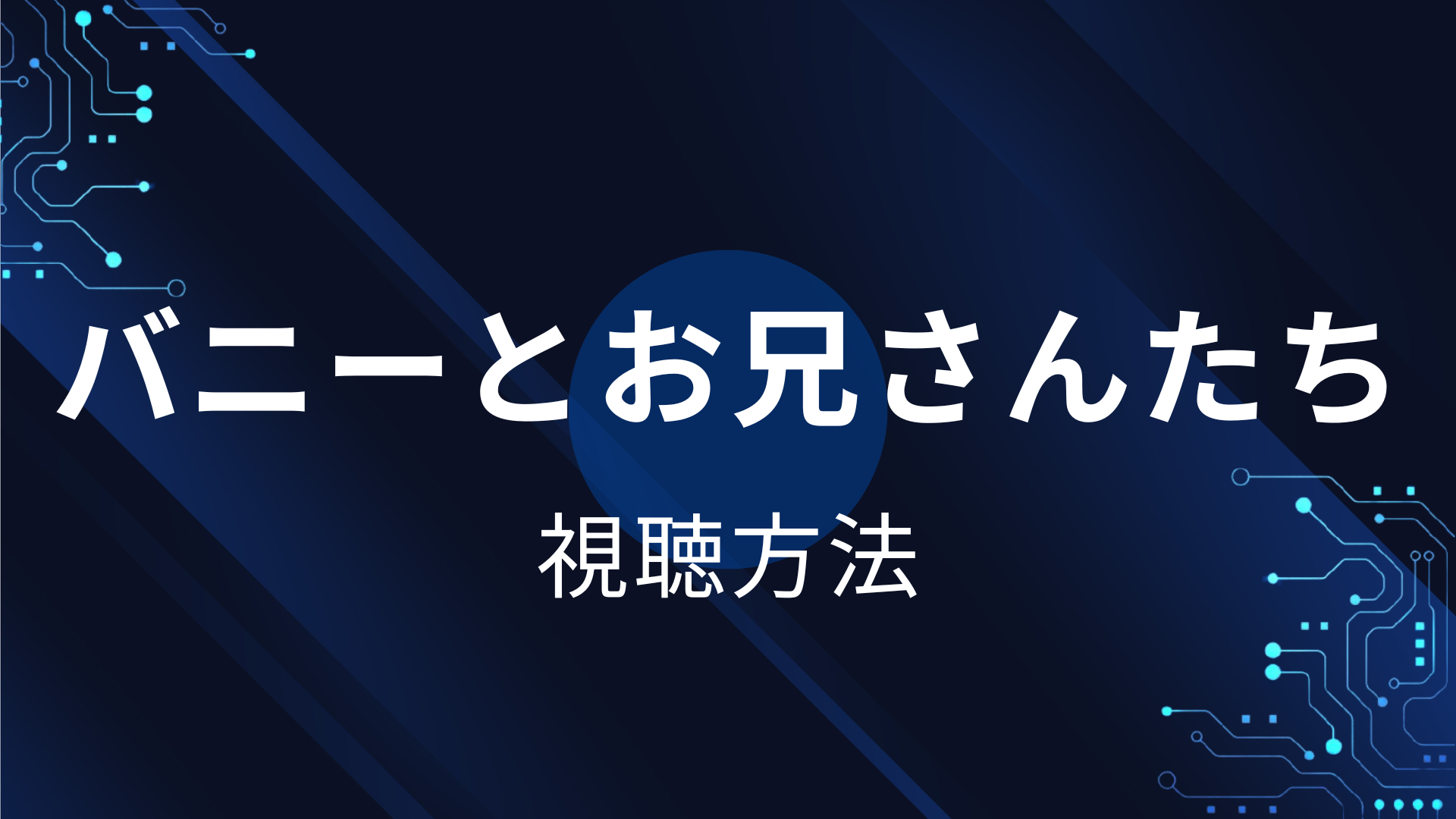 バニーとお兄さんたち